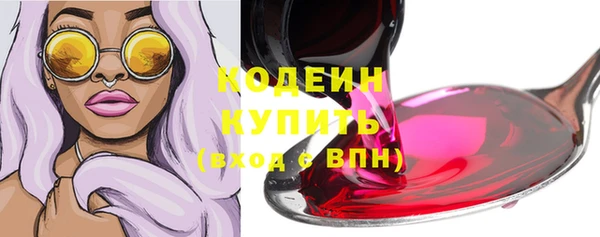 шишки Верея